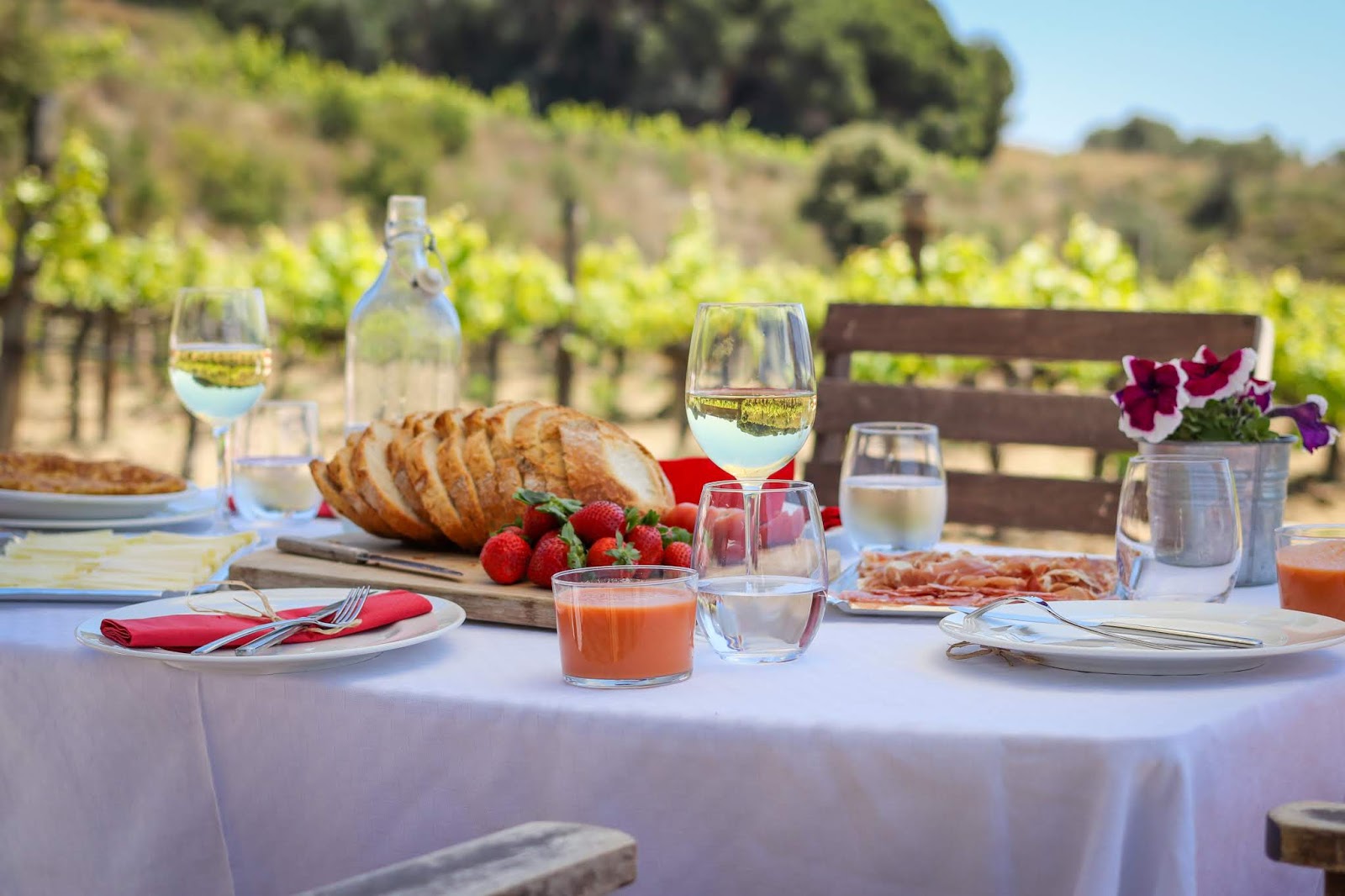 Lunch-at-a-vineyard-in-spain