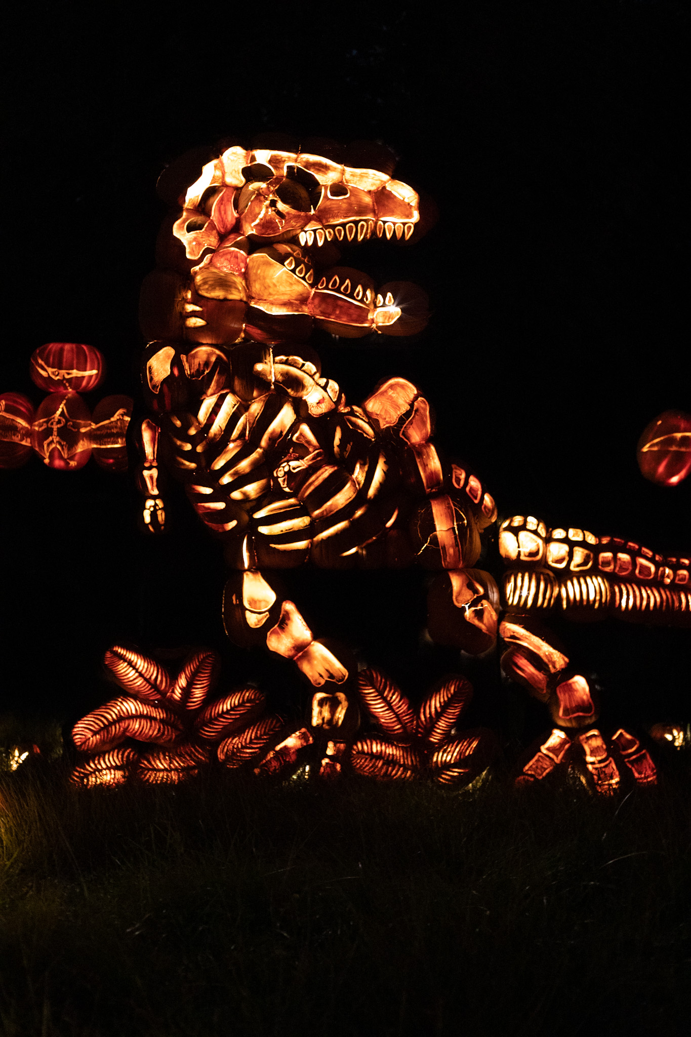 Dinosaur jack o lantern