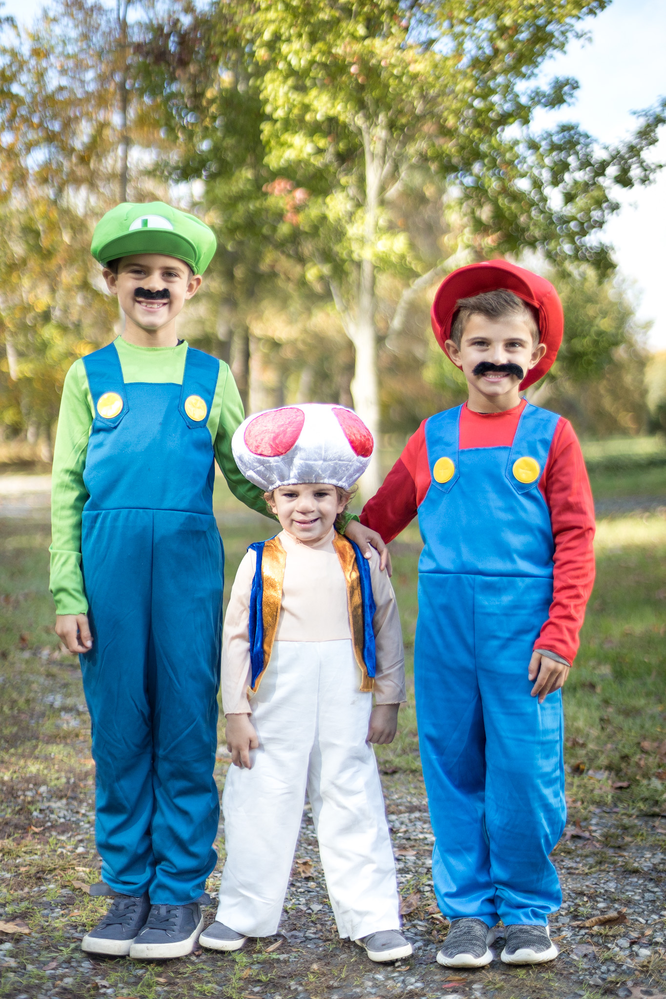 Family costume. Mario Bros.