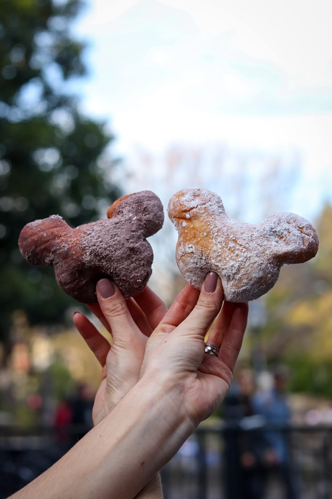 Mickey Mouse Beignets