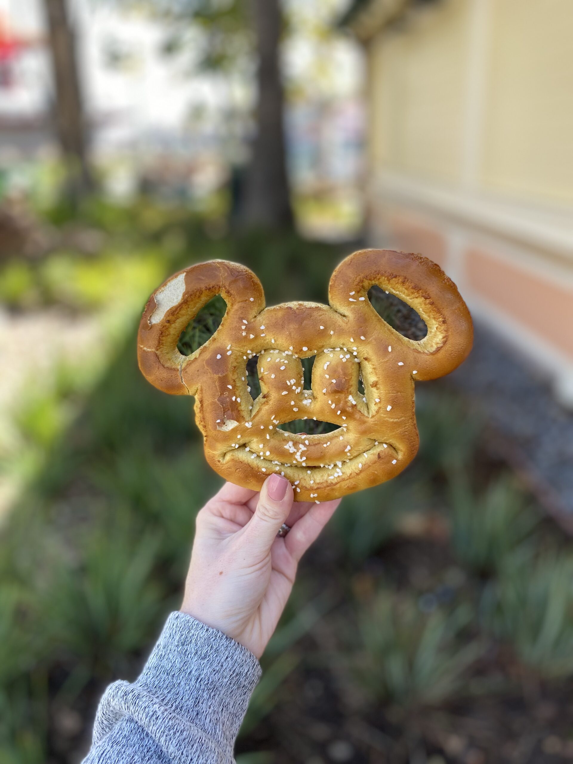 Disneyland Mickey Mouse Pretzel