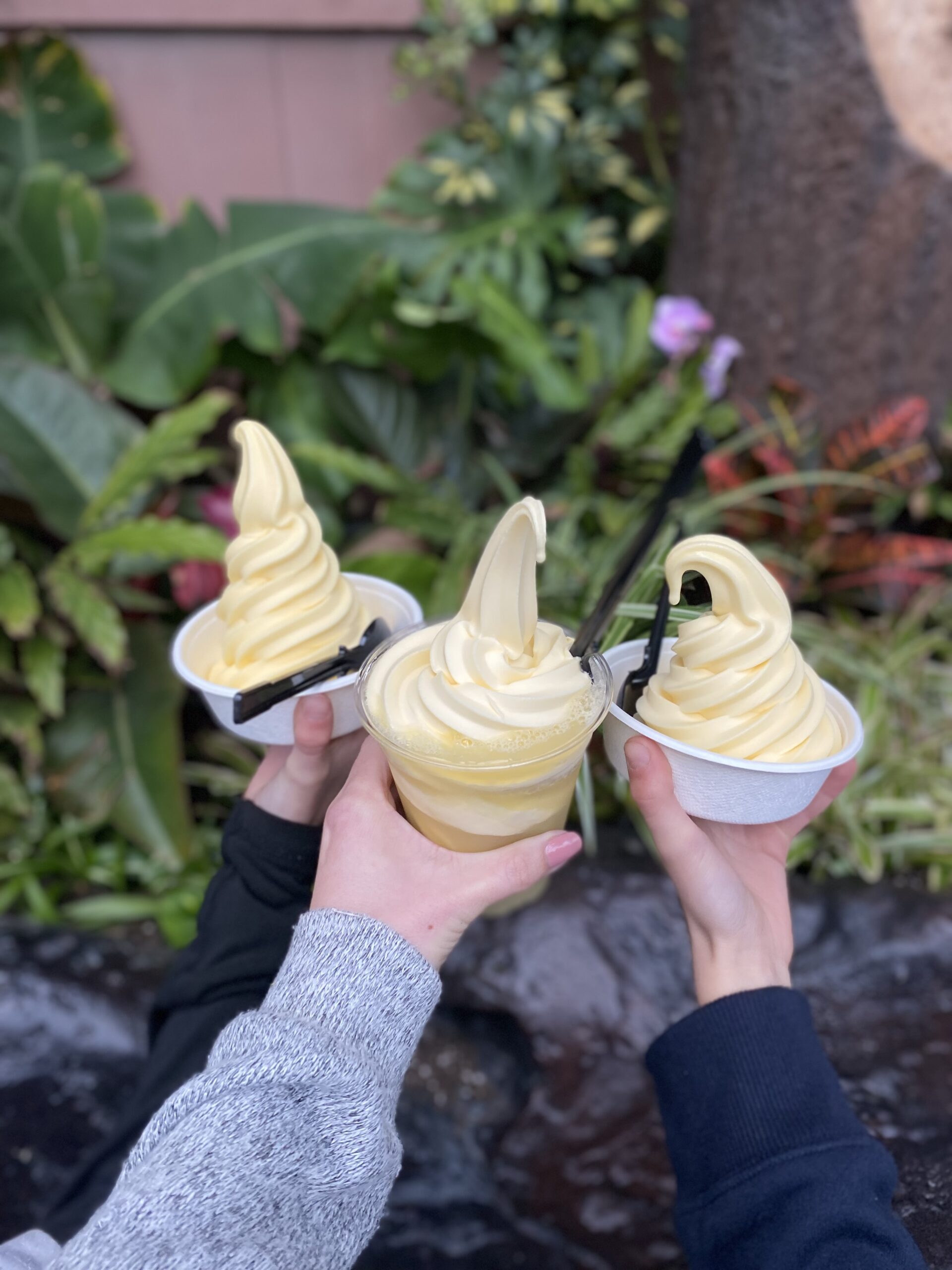 Disneyland Dole Whip